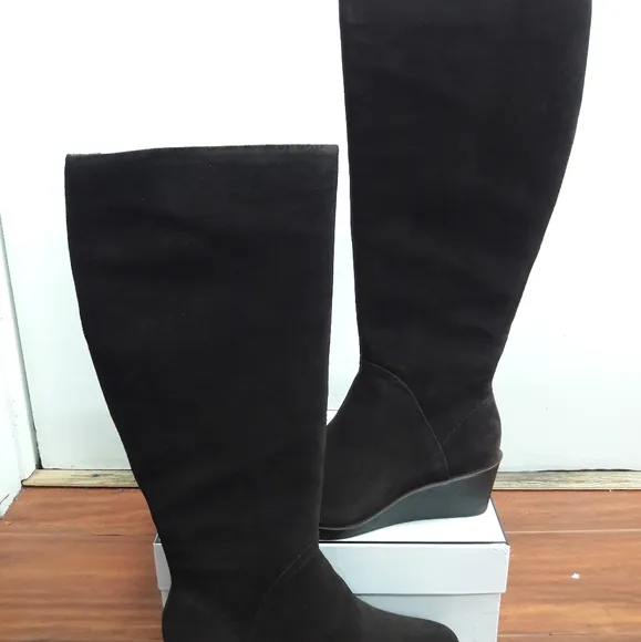 Aerosoles