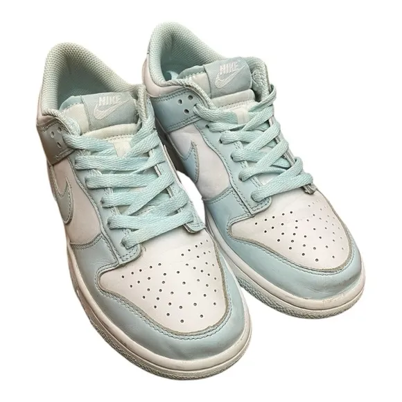 Nike Dunk Low Leather Shoes