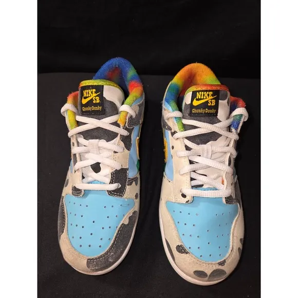 Nike SB Dunk Low Chunky Dunky Sneakers Colorful Youth Size 3Y