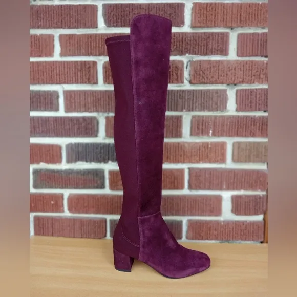 NWT Stuart Weitzman 'Gillian' Knee High Genuine Suede Heeled Boots in Burgundy
