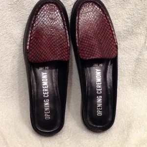 Opening Ceremony &quot;nebula&quot; slides