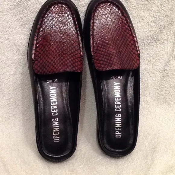 Opening Ceremony &quot;nebula&quot; slides