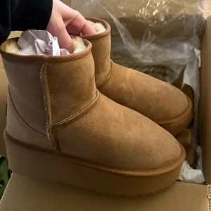 Ugg Since 1974 Women’s Classic Mini Platform